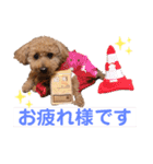 トイプーちっぷ（個別スタンプ：6）