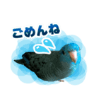 ピケモアみかんその1（個別スタンプ：2）