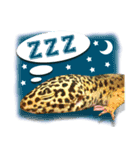 ピケモアみかんその1（個別スタンプ：5）
