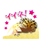 ピケモアみかんその1（個別スタンプ：8）