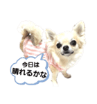 キキたんず32（個別スタンプ：4）