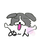 呑気なボーダーコリー、あすくん（個別スタンプ：14）