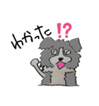 呑気なボーダーコリー、あすくん（個別スタンプ：19）