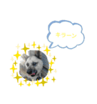 わらびと愉快な仲間たち！！（個別スタンプ：5）