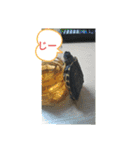 わらびと愉快な仲間たち！！（個別スタンプ：15）