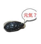 わらびと愉快な仲間たち！！（個別スタンプ：16）