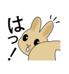 ミニうさぎのぴょん吉（個別スタンプ：1）