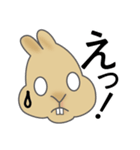 ミニうさぎのぴょん吉（個別スタンプ：5）