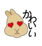 ミニうさぎのぴょん吉（個別スタンプ：7）