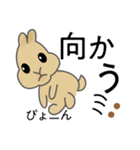 ミニうさぎのぴょん吉（個別スタンプ：8）
