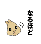 ミニうさぎのぴょん吉（個別スタンプ：14）