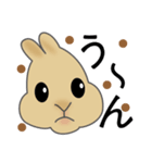 ミニうさぎのぴょん吉（個別スタンプ：16）