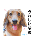えーっとえーっとエイトくん（個別スタンプ：8）