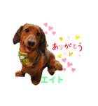 えーっとえーっとエイトくん（個別スタンプ：10）