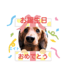 えーっとえーっとエイトくん（個別スタンプ：12）