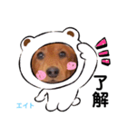 えーっとえーっとエイトくん（個別スタンプ：14）