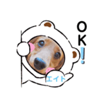 えーっとえーっとエイトくん（個別スタンプ：15）