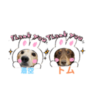 可愛い兄弟トムくん＆蒼空くん（個別スタンプ：2）