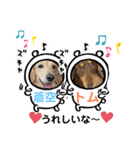 可愛い兄弟トムくん＆蒼空くん（個別スタンプ：3）