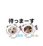 可愛い兄弟トムくん＆蒼空くん（個別スタンプ：4）