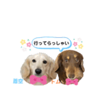 可愛い兄弟トムくん＆蒼空くん（個別スタンプ：9）