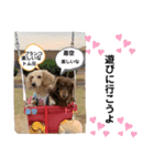 可愛い兄弟トムくん＆蒼空くん（個別スタンプ：12）