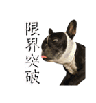 ロック兄さんと兄弟2（個別スタンプ：5）