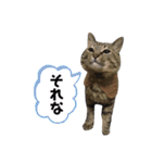 ロック兄さんと兄弟2（個別スタンプ：7）