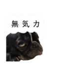 ロック兄さんと兄弟2（個別スタンプ：9）
