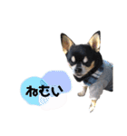 ロック兄さんと兄弟2（個別スタンプ：11）