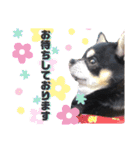 ロック兄さんと兄弟2（個別スタンプ：12）