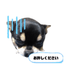 ロック兄さんと兄弟2（個別スタンプ：17）