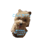 古川綾音と愛犬フェル♂と愉快な仲間たち（個別スタンプ：4）