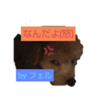 古川綾音と愛犬フェル♂と愉快な仲間たち（個別スタンプ：10）