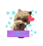 古川綾音と愛犬フェル♂と愉快な仲間たち（個別スタンプ：14）