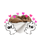 ポノちゃんスタンプその7（個別スタンプ：7）