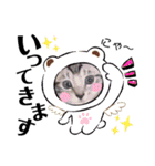 猫だんご3兄妹♪日常パック（個別スタンプ：5）