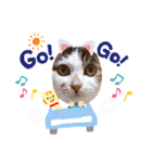猫だんご3兄妹♪日常パック（個別スタンプ：6）