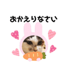 猫だんご3兄妹♪日常パック（個別スタンプ：10）