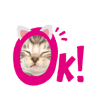 猫だんご3兄妹♪日常パック（個別スタンプ：12）