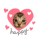 猫だんご3兄妹♪日常パック（個別スタンプ：23）