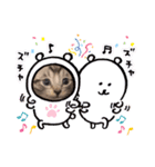猫だんご3兄妹♪日常パック（個別スタンプ：24）