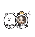 猫だんご3兄妹♪日常パック（個別スタンプ：30）