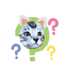 猫だんご3兄妹♪日常パック（個別スタンプ：32）