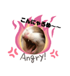 猫だんご3兄妹♪日常パック（個別スタンプ：33）