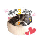 猫だんご3兄妹♪日常パック（個別スタンプ：39）