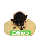 かわいいルイたん（個別スタンプ：3）