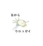 毎日の海洋生物（個別スタンプ：7）