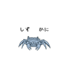 毎日の海洋生物（個別スタンプ：12）