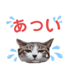 バニラとガゼル 2（個別スタンプ：1）
